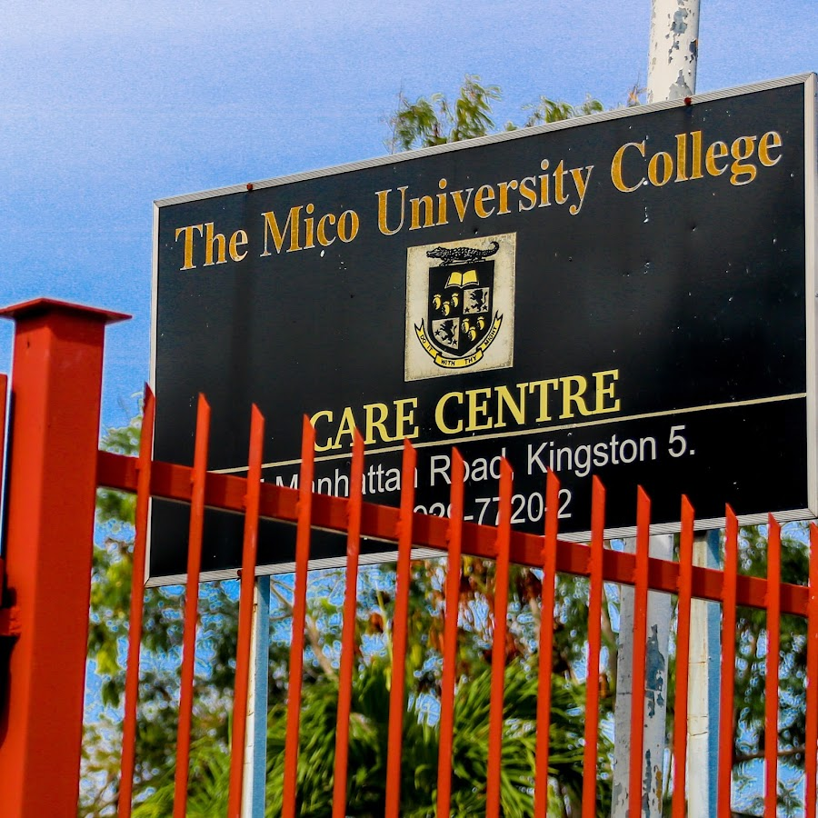 What Happens After Waiting Lists and Assessments for Special Needs